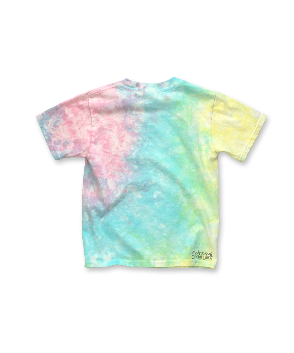 rainbow rain - rainbow fuzz t-shirt