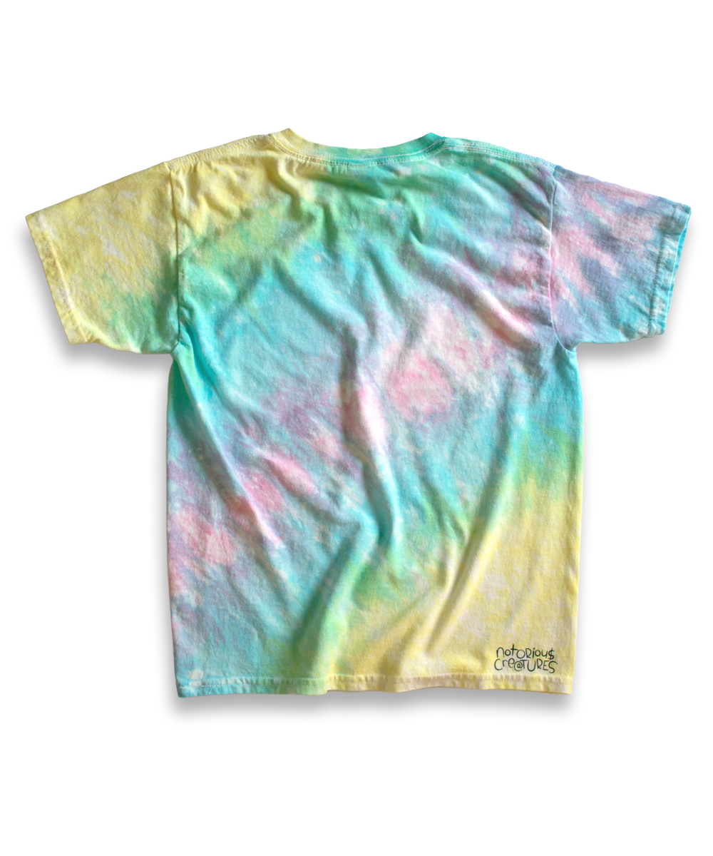 rainbow fuzz // 001 // t-shirt