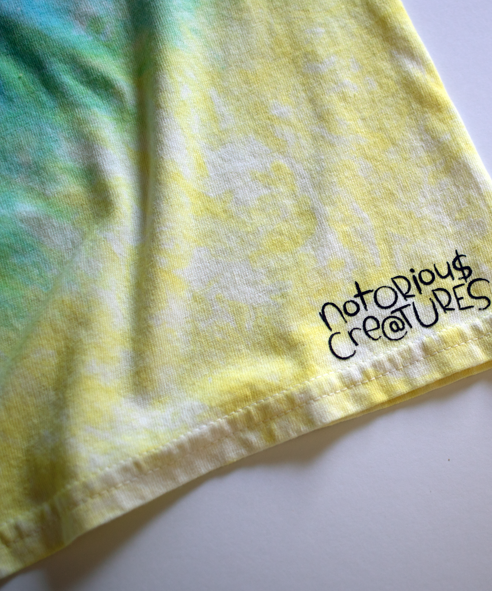 rainbow fuzz // 001 // t-shirt